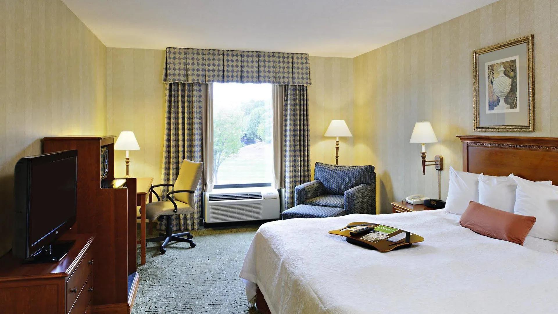 *** Hotel Hampton Inn Long Island-Brookhaven Farmingville United States