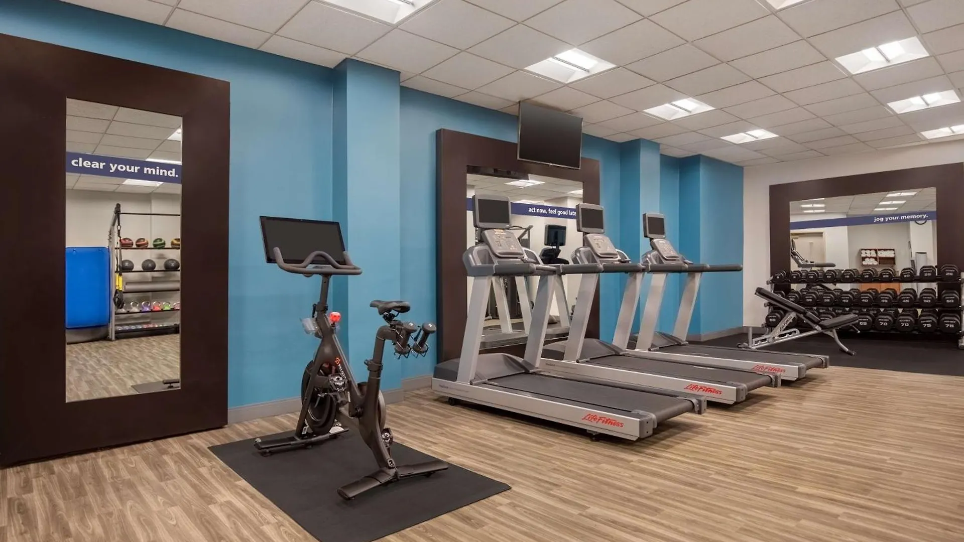 *** Hotel Hampton Inn Long Island-Brookhaven Farmingville United States